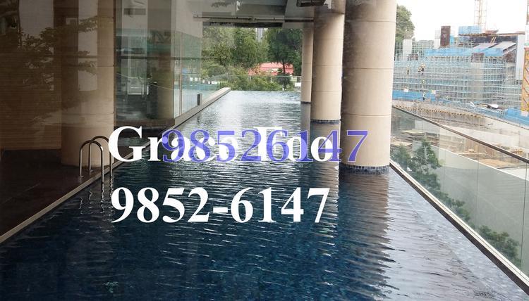Zedge (D11), Apartment #124438082